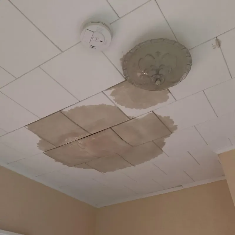 Ceiling Water Damage Repair in Bradford, OH