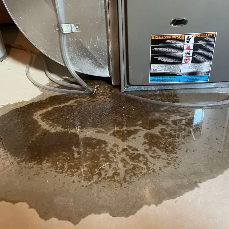 Pipe Burst and Leak Restoration in Bradford, OH