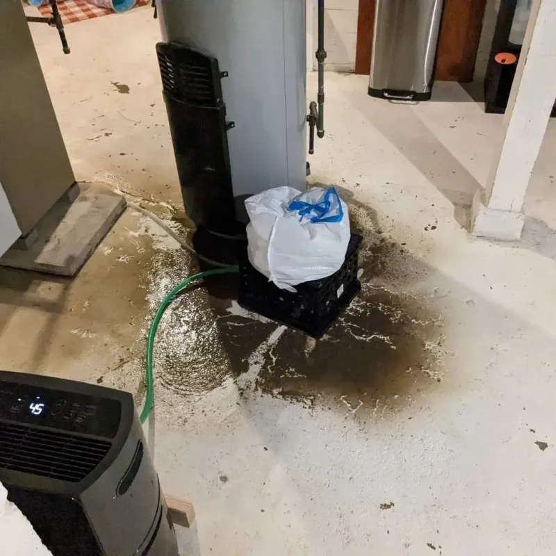Sewage Backup Cleanup Service in Bradford, OH